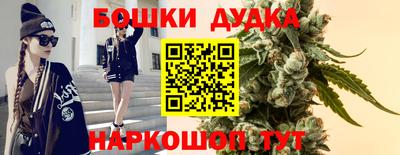 шишки Нальчик