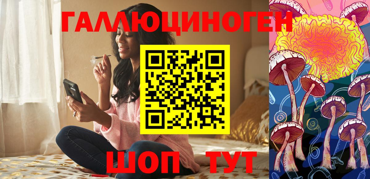 Псилоцибиновые грибы Psilocybine cubensis Серов