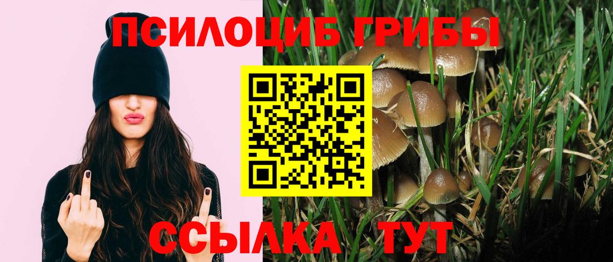 Галлюциногенные грибы мухоморы  Вход с VPN  Серов  Галлюциногенные грибы мухоморы 